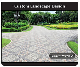 Custom Landscape Design click here