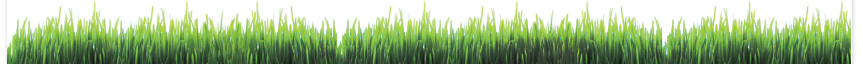 green grass