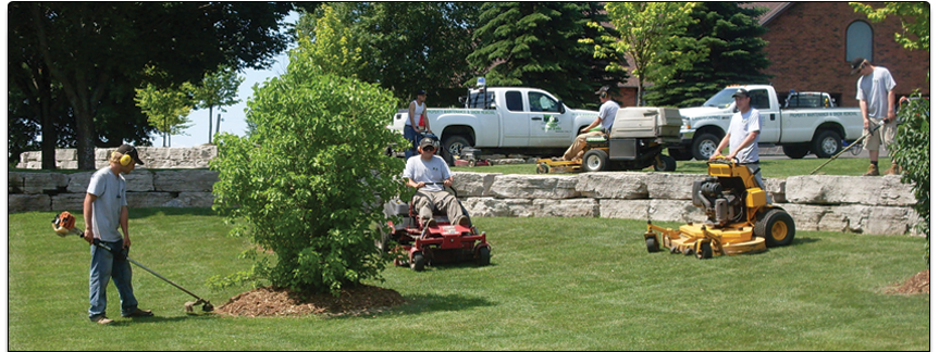 landscapers working